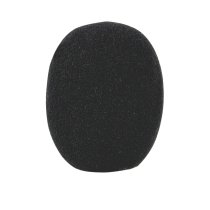 CAD C105 Cymbal and Hi-Hat Condenser Microphone